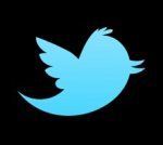 the new twitter logo thumb8 Subir imágenes a Twitter: ahora más fácil que nunca