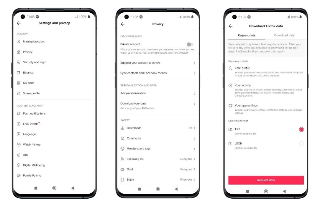 Settings, Privacy and Download data menus from TikTok