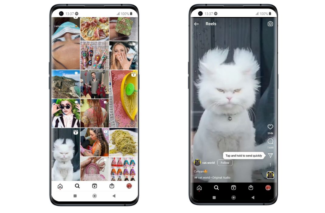 One smartphone with the Instagram Explore tab open and another with a white cat reel on the screen