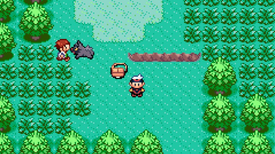Pokémon Emerald in-game screenshot showing two human characters and a pokémon in a green setting full of plants.